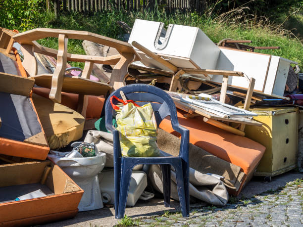 Best Electronics and E-Waste Disposal  in Sierra Vista, AZ