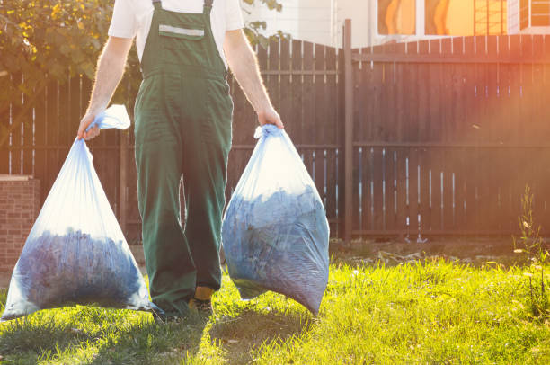 Professional Junk Removal Services in Sierra Vista, AZ